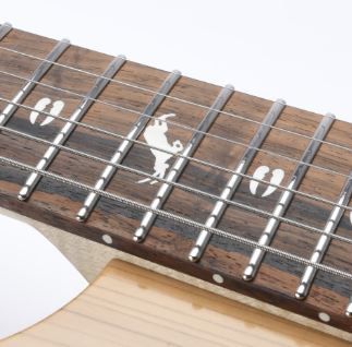 Stainless Frets